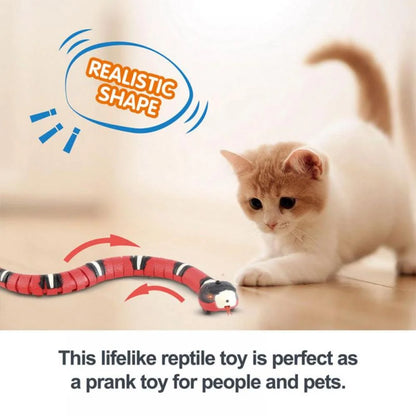 Electric Snake Cat Toys,Daxin USB Realistic Simulation Smart Sensing Snake Cat Interactive Toys Halloween Prank Props