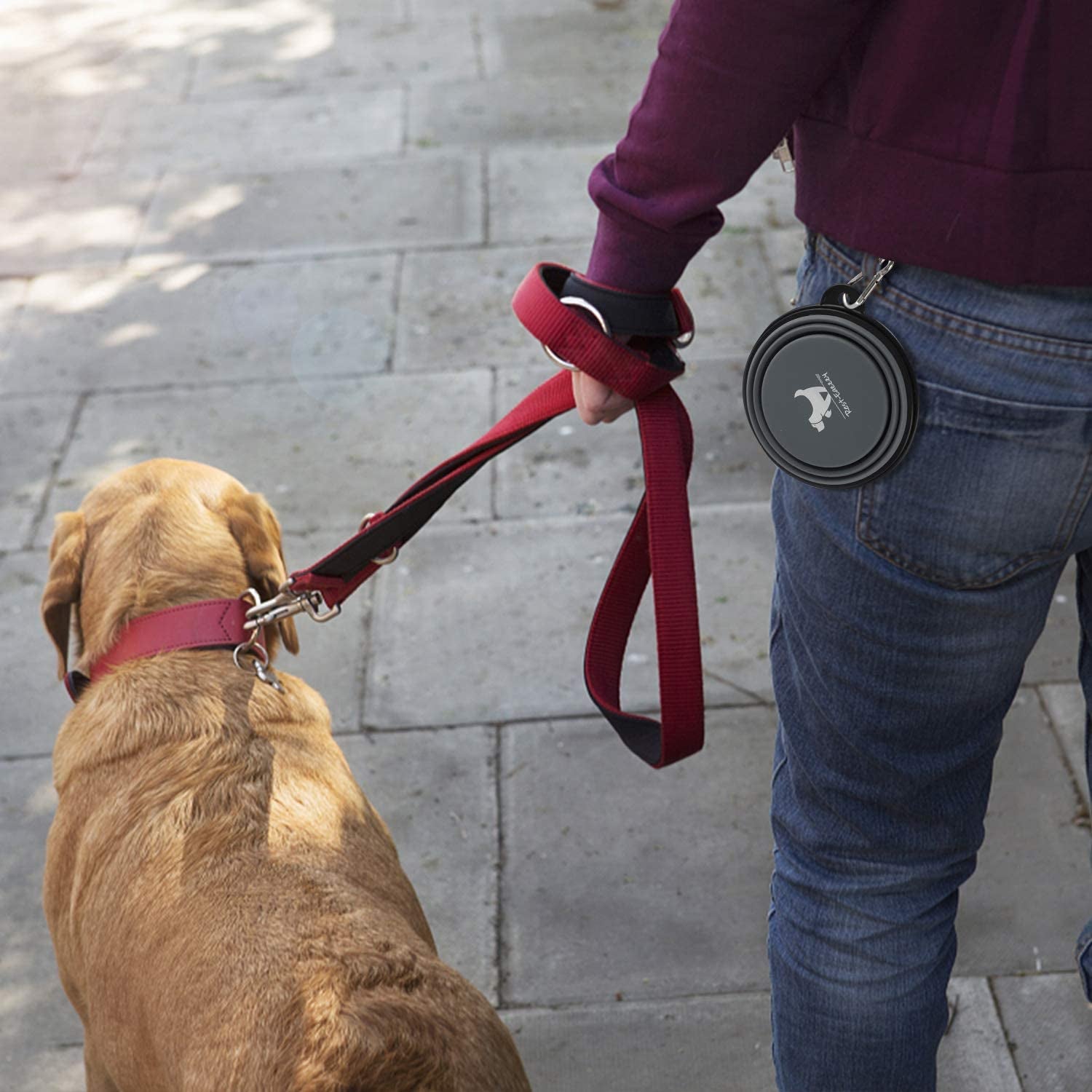 Expandable Dog Bowls for Travel, 2-Pack Dog Portable Water Bowl for Dogs Cats Pet Foldable Feeding Watering Dish for Traveling Camping Walking with 2 Carabiners, BPA Free